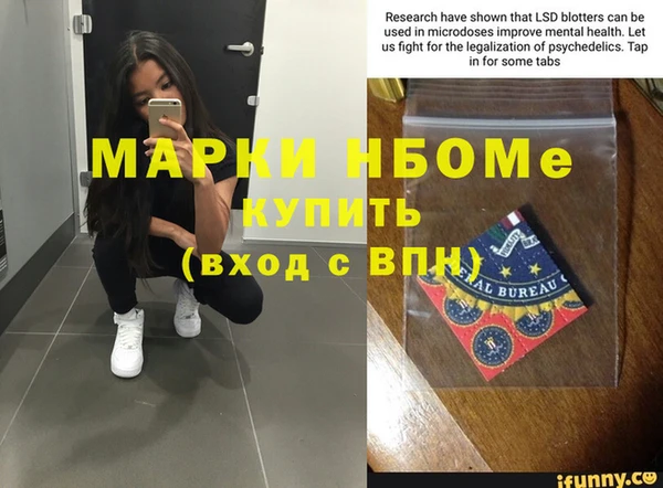 прущие грибы Алексин