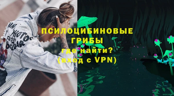 винт Алзамай