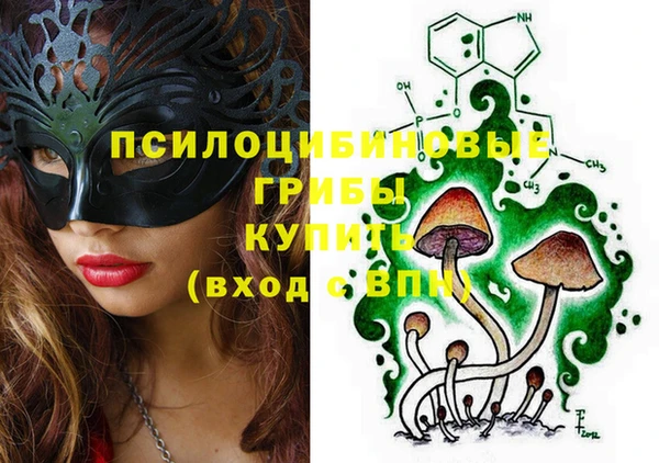 винт Алзамай