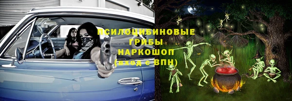 прущие грибы Алексин