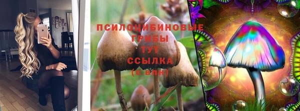 прущие грибы Алексин