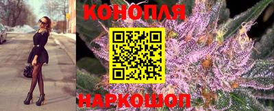 гашик Малгобек