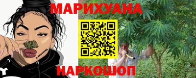 гашик Малгобек