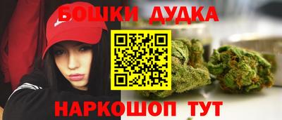 гашик Малгобек