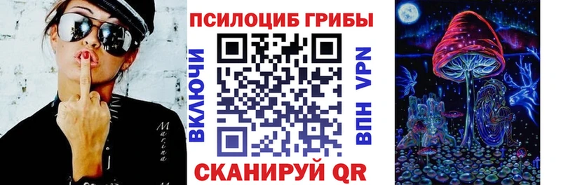 Галлюциногенные грибы Psilocybe  Домодедово 