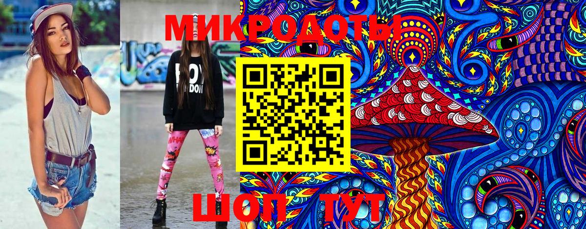 Псилоцибиновые грибы Psilocybe Домодедово