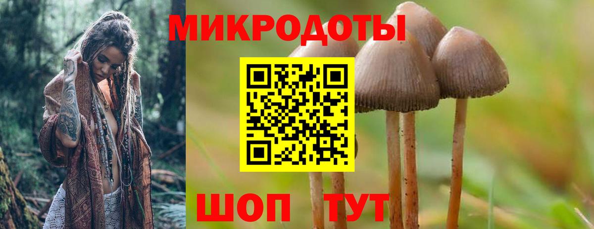 Галлюциногенные грибы MAGIC MUSHROOMS  Вход с VPN  Домодедово 
